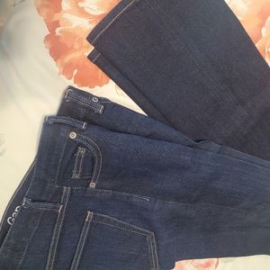 Gap Jeans 1969 Bootcut